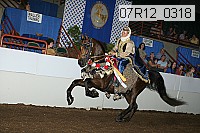 07r12_0318 proof
