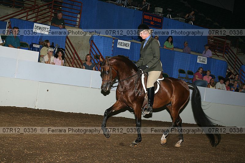 Proof 07r12_0336