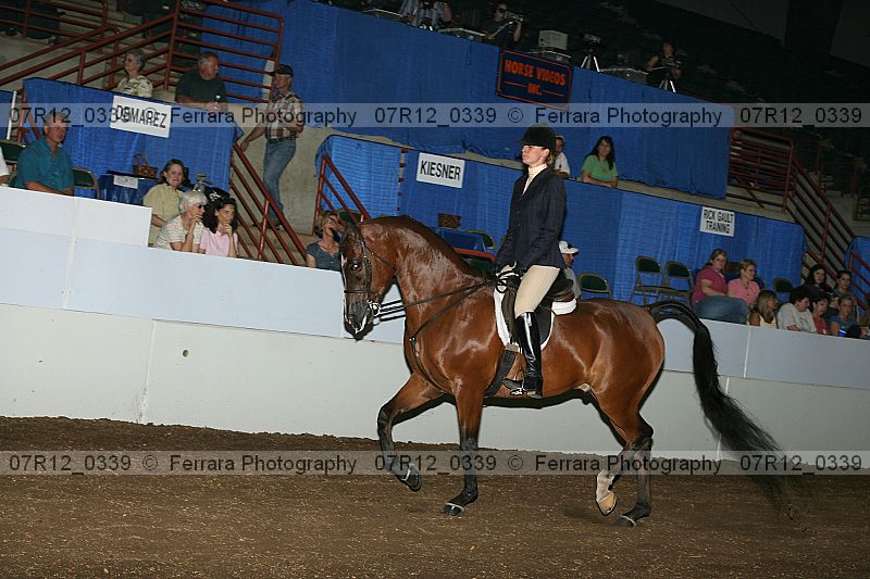Proof 07r12_0339
