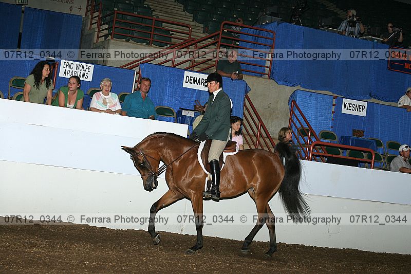 Proof 07r12_0344