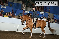 07r12_0354 proof