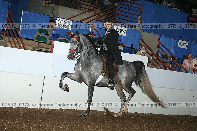 Proof 07r12_0373