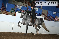 07r12_0373 proof
