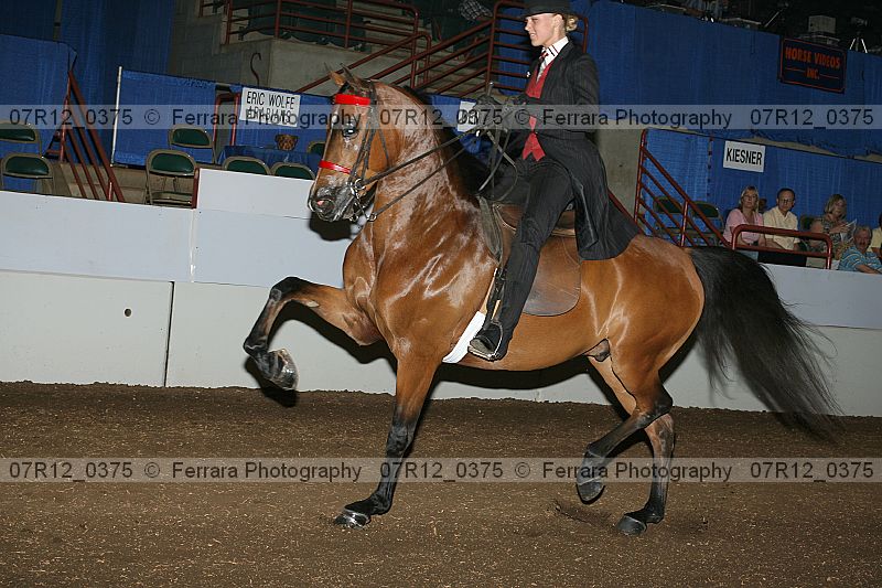 Proof 07r12_0375