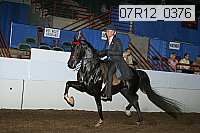 07r12_0376 proof