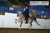 07r12_0377 proof