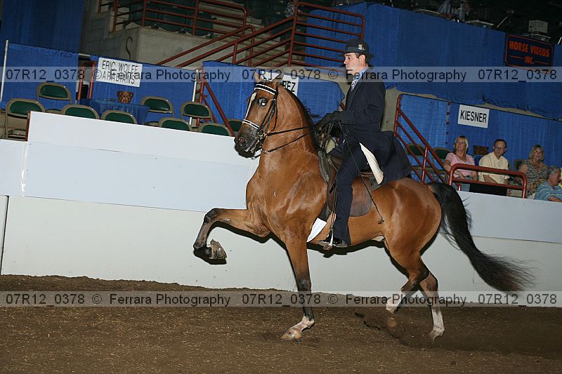 Proof 07r12_0378