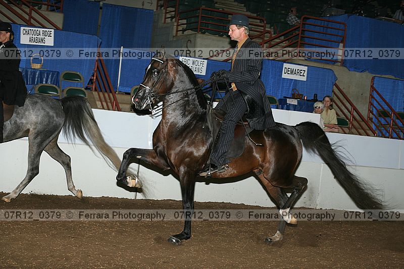 Proof 07r12_0379