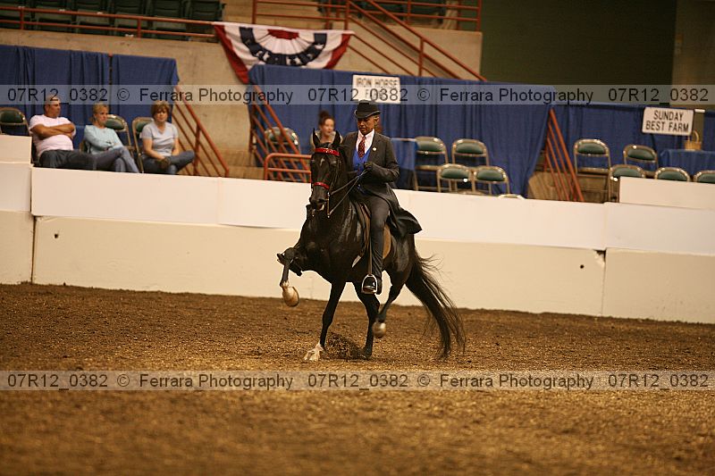 Proof 07r12_0382