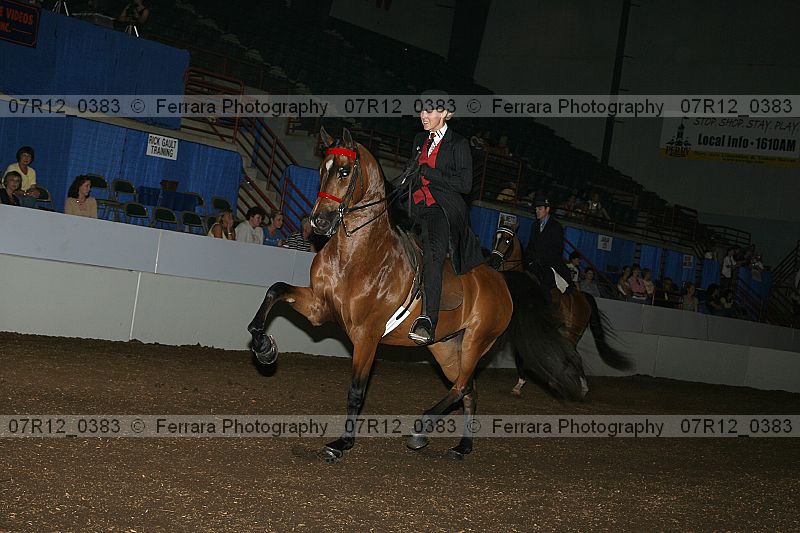 Proof 07r12_0383