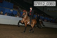 07r12_0383 proof