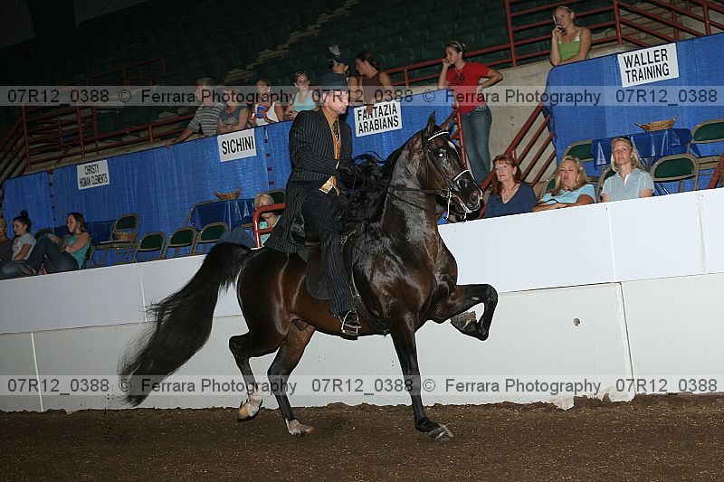 Proof 07r12_0388