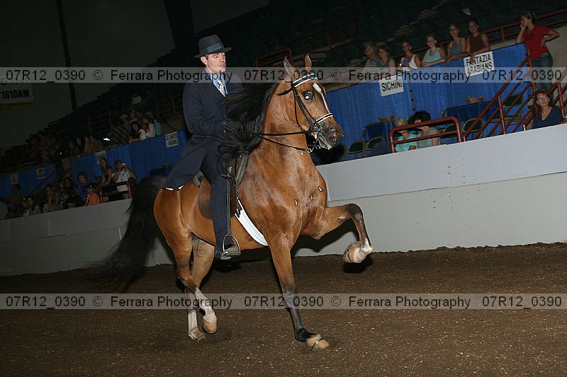 Proof 07r12_0390