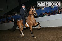 07r12_0390 proof