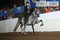 07r12_0392 proof