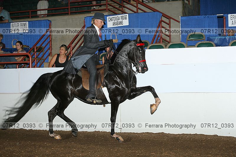 Proof 07r12_0393