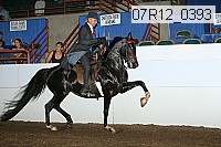 07r12_0393 proof