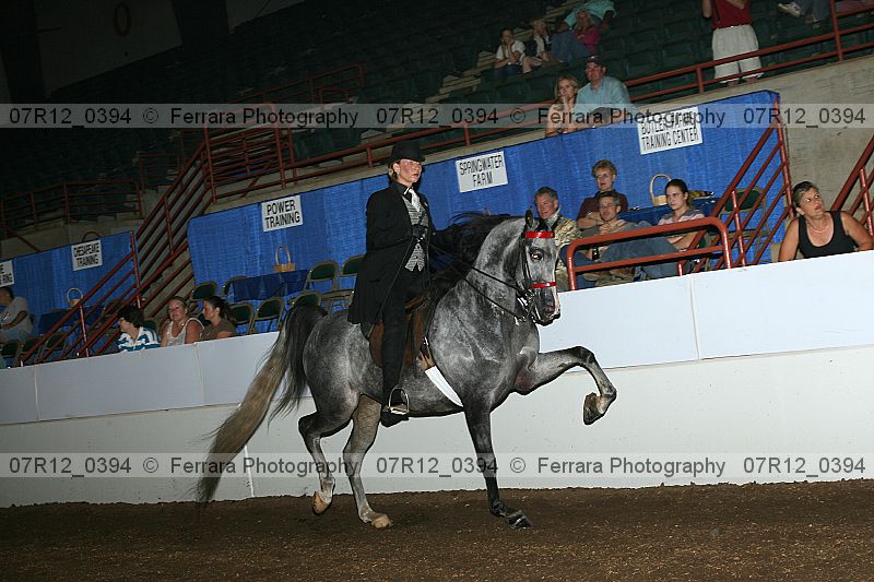 Proof 07r12_0394