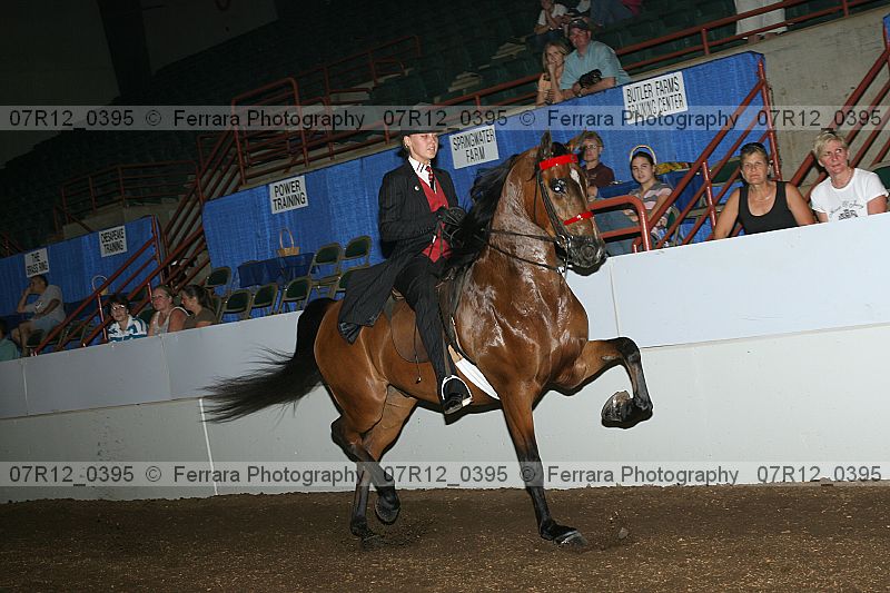 Proof 07r12_0395