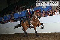 07r12_0395 proof