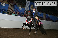 07r12_0403 proof