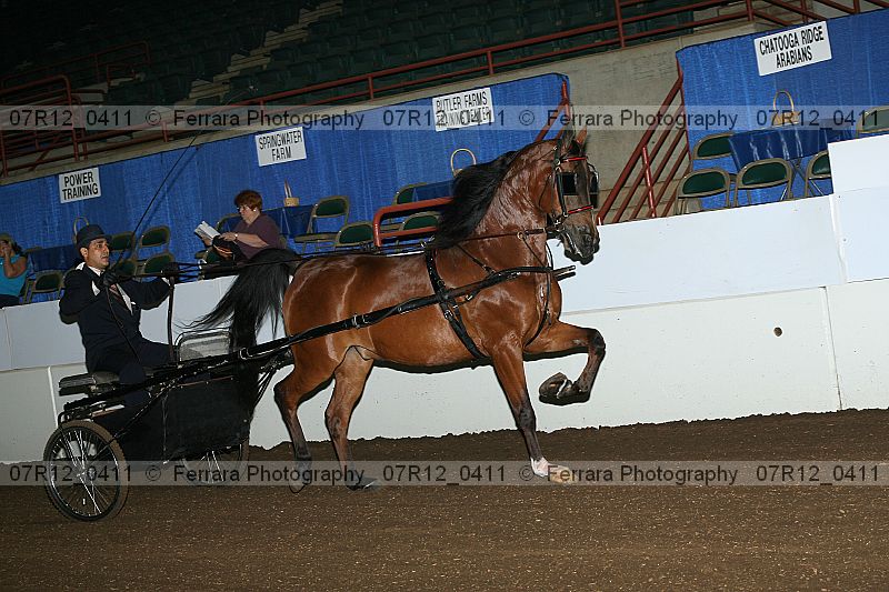 Proof 07r12_0411