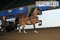 07r12_0412 proof