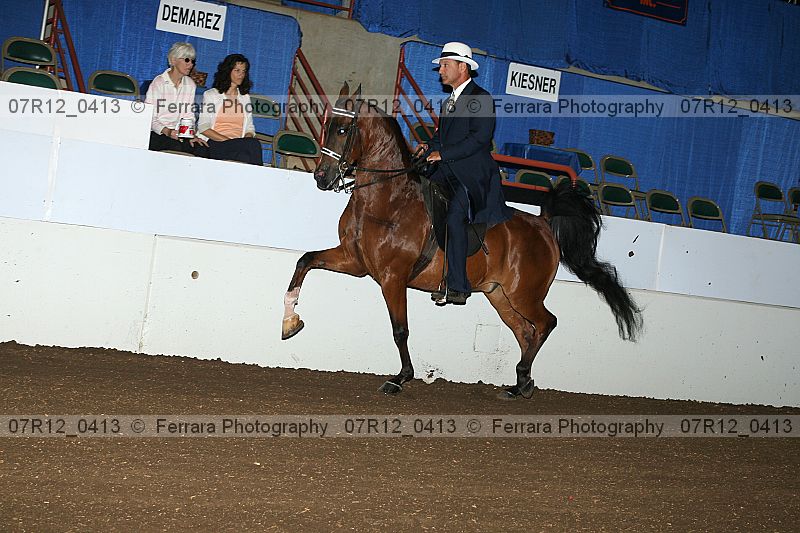 Proof 07r12_0413