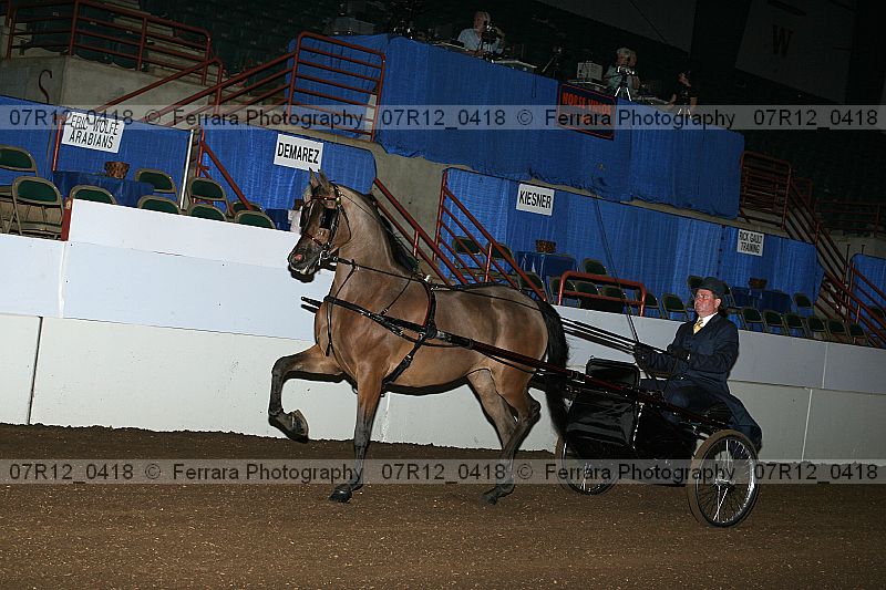 Proof 07r12_0418