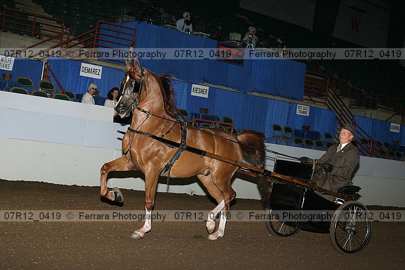 Proof 07r12_0419