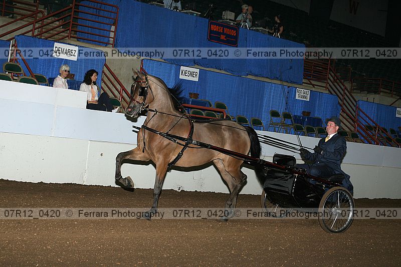 Proof 07r12_0420