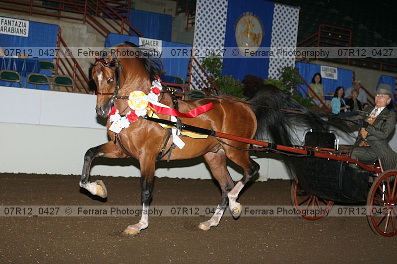 Proof 07r12_0427
