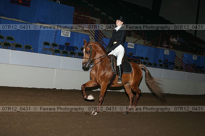Proof 07r12_0431