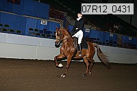07r12_0431 proof