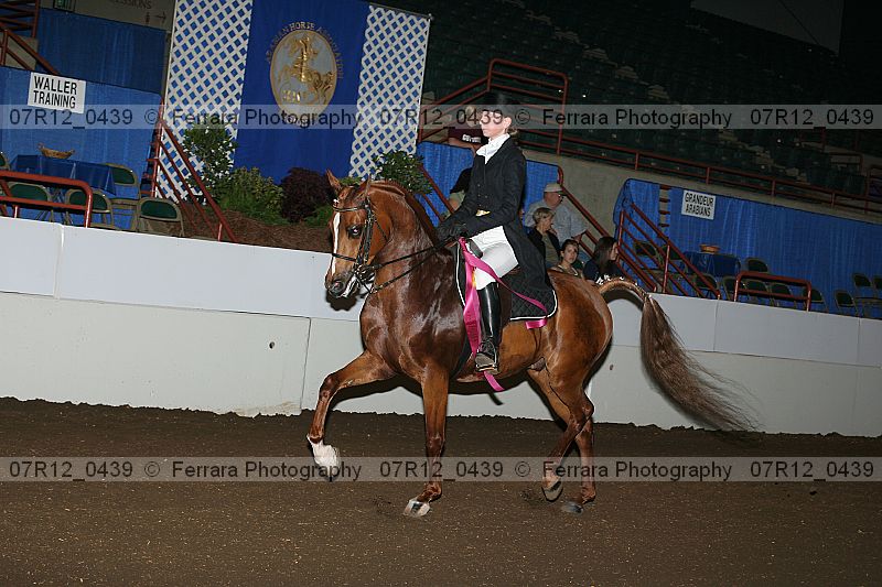 Proof 07r12_0439