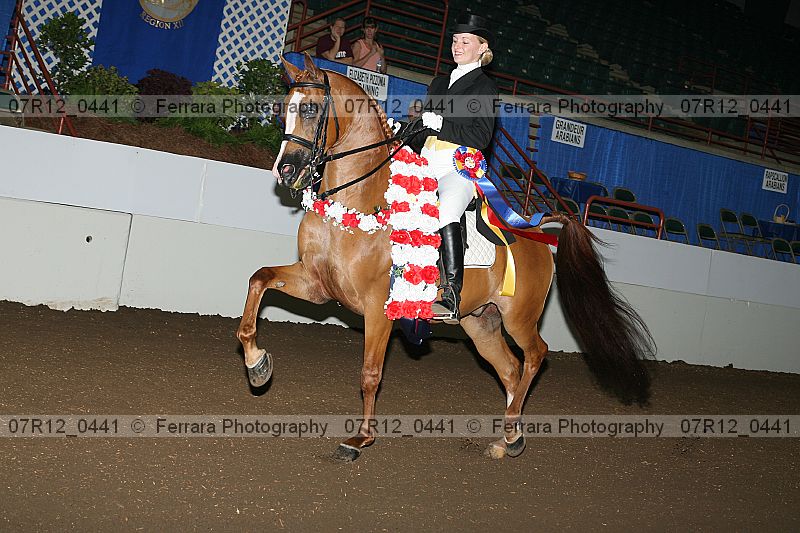 Proof 07r12_0441