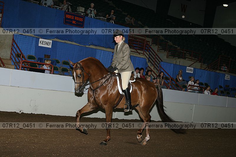 Proof 07r12_0451