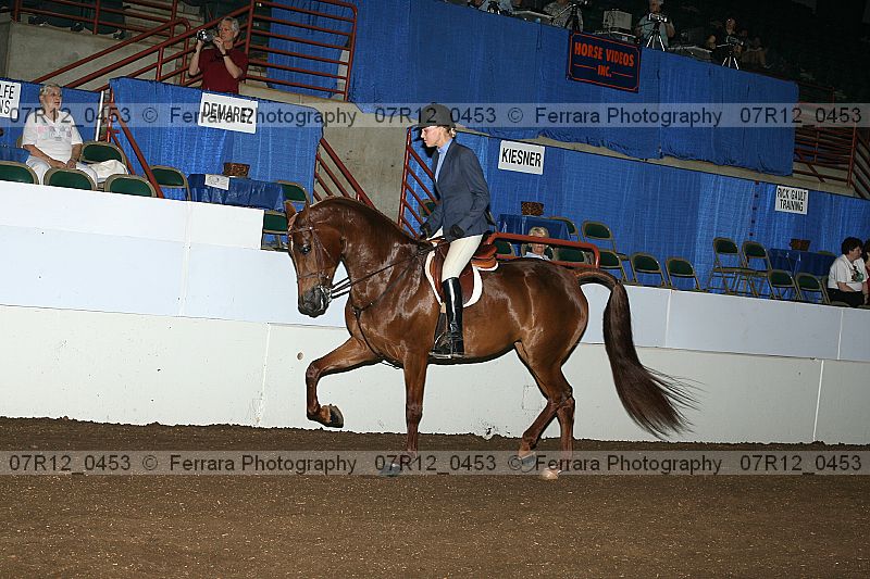 Proof 07r12_0453