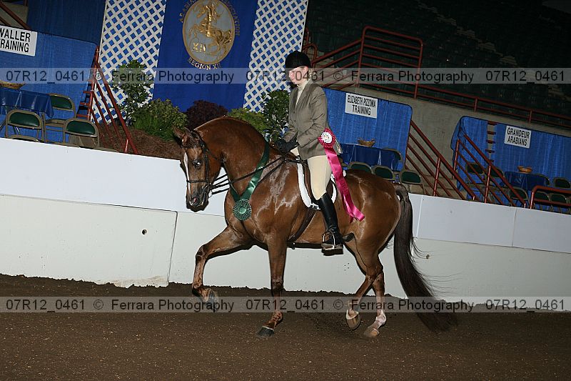 Proof 07r12_0461