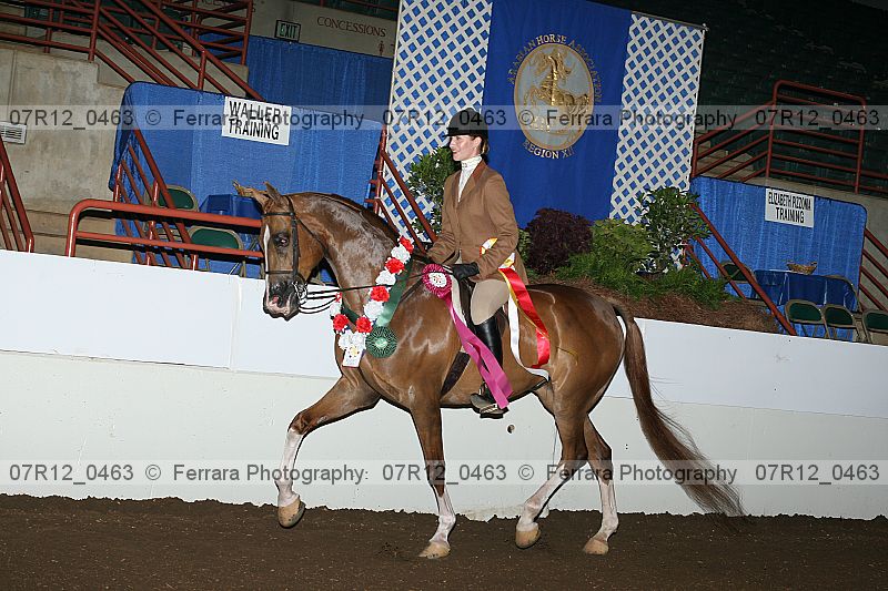 Proof 07r12_0463