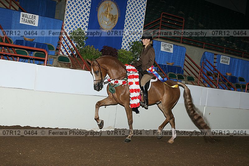 Proof 07r12_0464