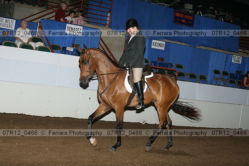 Proof 07r12_0466