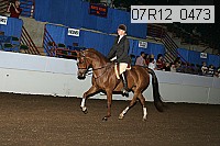 07r12_0473 proof