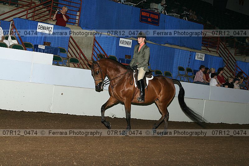 Proof 07r12_0474
