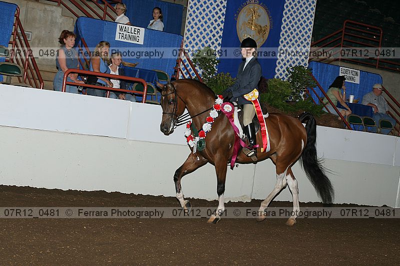 Proof 07r12_0481