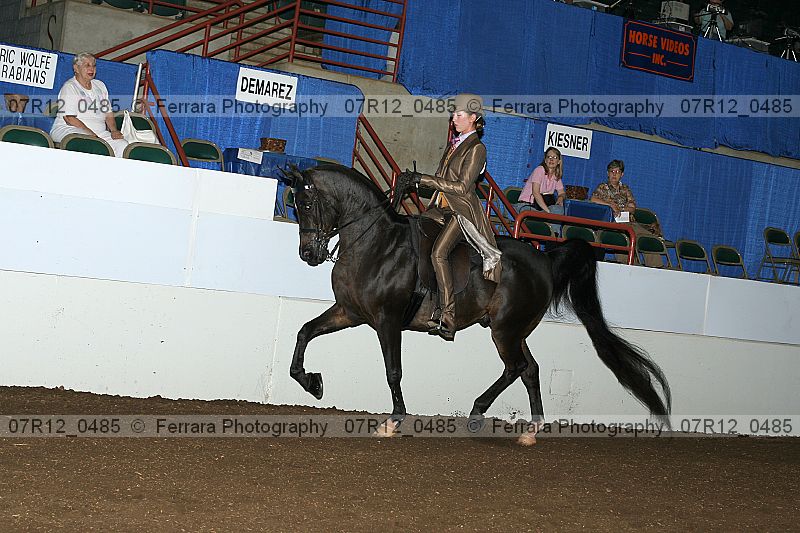 Proof 07r12_0485