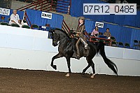 07r12_0485 proof