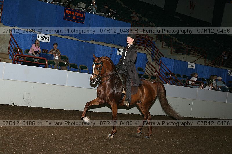 Proof 07r12_0486