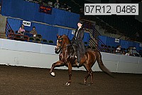 07r12_0486 proof