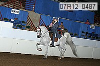 07r12_0487 proof